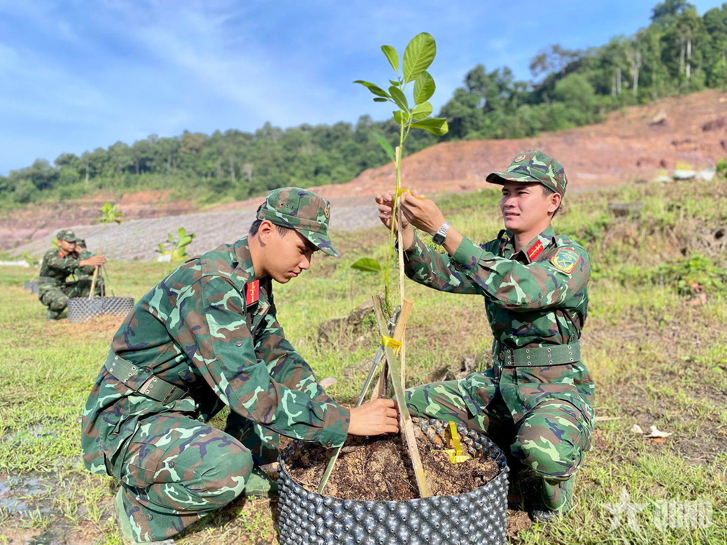 Tiểu đoàn 860 (Lữ đoàn 950, Quân khu 9) vun trồng mầm xanh